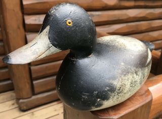 VINTAGE MASON CHALLENGE GRADE BLUEBILL DRAKE DUCK DECOY PAINT 5