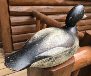 VINTAGE MASON CHALLENGE GRADE BLUEBILL DRAKE DUCK DECOY PAINT 7