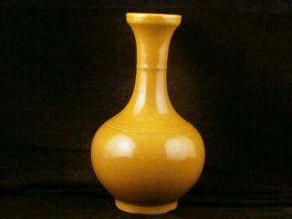 6.  8 Inches Chinese Ming Dy Tianshun Yellow Glaze Porcelain Vase S002