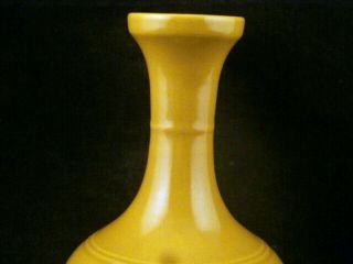 6.  8 Inches Chinese Ming Dy TianShun Yellow Glaze Porcelain Vase S002 2