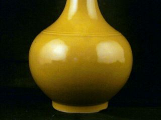 6.  8 Inches Chinese Ming Dy TianShun Yellow Glaze Porcelain Vase S002 3
