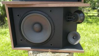 Bose 301 Series III Vintage Speakers 7