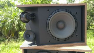 Bose 301 Series III Vintage Speakers 8