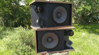 Bose 301 Series III Vintage Speakers 9