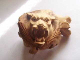 Vintage Carved Tree Root Vintage Folk Art Roaring Lion Head Small Size