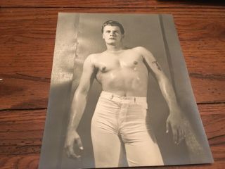 1950’s Vintage Male Model Beefcake Photo 8x9.  5 Kris Studios? Gay Interest 7