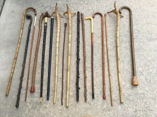 16 Quality " Antique " Carved Walking Sticks From A Jersey Estate