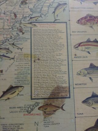 Big Game Fish Map Vintage Fishing Map Poster inside 37x35 3