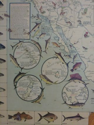 Big Game Fish Map Vintage Fishing Map Poster inside 37x35 5