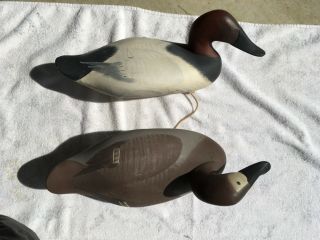 Vintage Wood Duck Decoy Pair - Canvasback Drake & Hen Antique