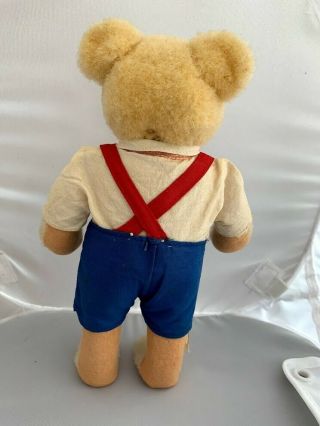 Rare 1950 ' s Vintage_ antique Steiff Germany dressed TEDDYLI Boy Teddy Bear 4