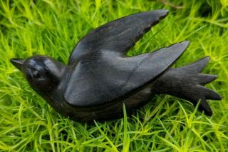 Swift Swallow Bird Brooch Pin Mourning Jewelry,  Vulcanite Or Tortoise Shell