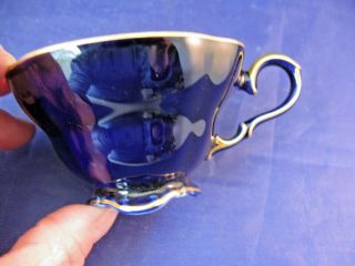 Vintage Demi - Tasse Cup and Saucer by Wien - Echo Cobalt 3