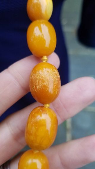 Vtg Antique Butterscotch Egg Yolk Amber Beads Necklace 78 Grams 10