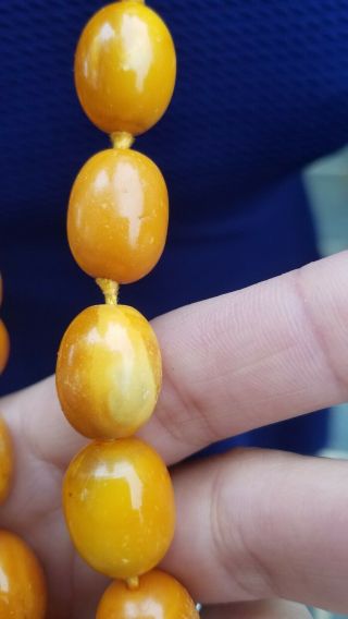 Vtg Antique Butterscotch Egg Yolk Amber Beads Necklace 78 Grams 11