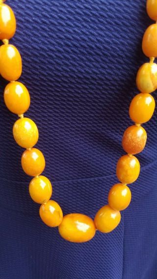 Vtg Antique Butterscotch Egg Yolk Amber Beads Necklace 78 Grams 5