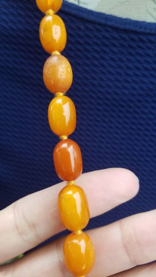Vtg Antique Butterscotch Egg Yolk Amber Beads Necklace 78 Grams 9
