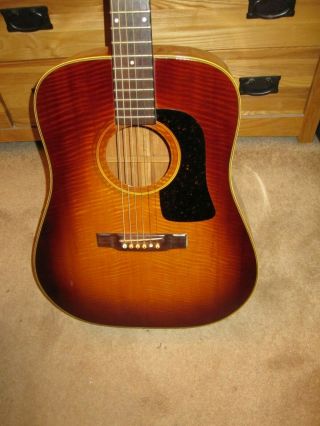 Vintage 1980s Washburn D21 - SB Acoustic Dreadnought Guitar with Hard Shell Case 2