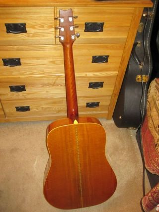 Vintage 1980s Washburn D21 - SB Acoustic Dreadnought Guitar with Hard Shell Case 5