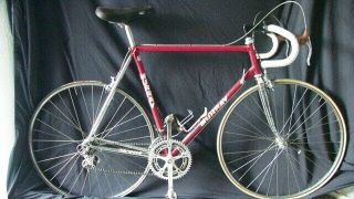 Vintage 1984 Murray/serotta Usa / 7 - Eleven Cycling Team Bike.  Rare Find