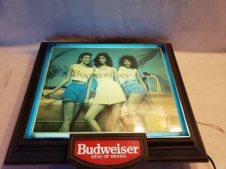 Vintage Budweiser Lighted Bar Sign - Budweiser Girls - Man Cave Sign - Garage 8