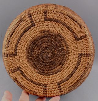 Large 19thC Antique Western Native American Pima Indian Classic Olla Basket 7