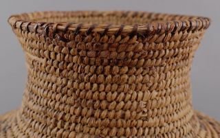 Large 15in Antique South Western,  American Pima Indian,  Native Olla Basket 3