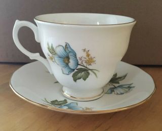 Vintage Queen Anne England Teacup And Saucer Bone China D674