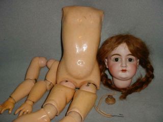 Antique Kestner 146 Bisque Head Doll As Found