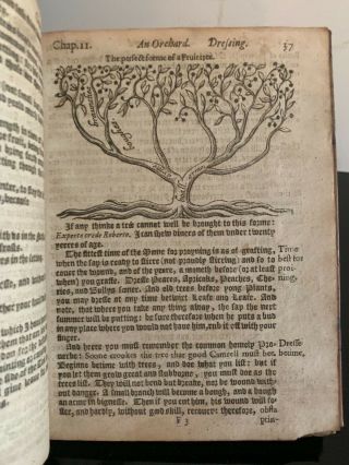 1626: One Of The Rarest Early Of English Gardening - Woodcuts Rare
