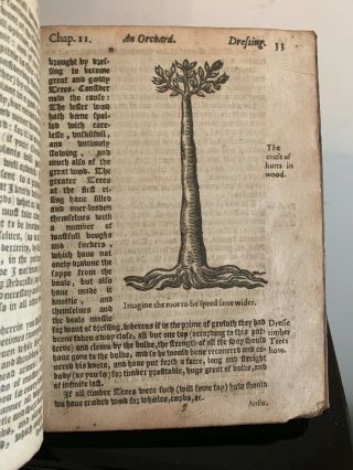 1626: ONE OF THE RAREST EARLY OF ENGLISH GARDENING - WOODCUTS RARE 5
