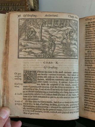 1626: ONE OF THE RAREST EARLY OF ENGLISH GARDENING - WOODCUTS RARE 8
