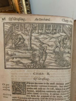 1626: ONE OF THE RAREST EARLY OF ENGLISH GARDENING - WOODCUTS RARE 9