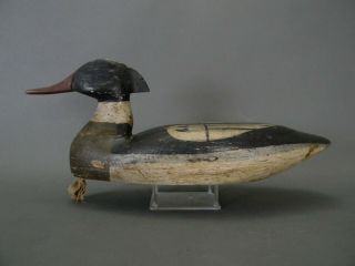 CA 1920 RARE MERGANSER FROM CHRIS SPRAGUE PERSONAL RIG BEACH HAVEN,  NJ GUNIN PNT 2