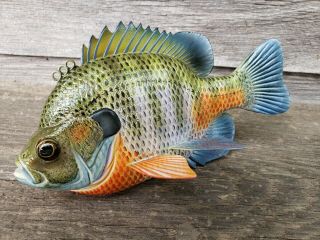 Greg Pususta 7 " Bluegill Sunfish Fish Decoy