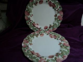 Two Nikko Precious Dinner Plates 10.  5 " - - Buy It Now/best Offer