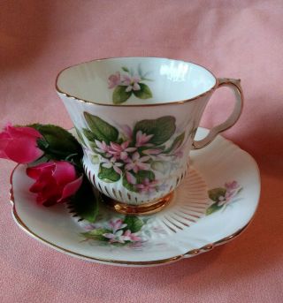 Vintage Royal Adderly " Mayflower " Bone China Tea Cup & Saucer England