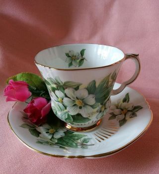 Vintage Royal Adderly " Dogwood " Bone China Tea Cup & Saucer England