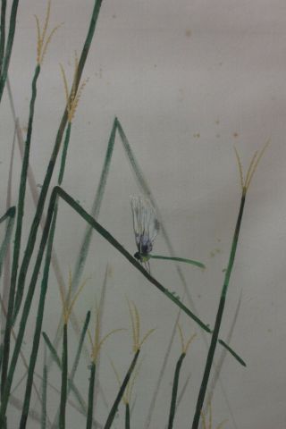 G08Q4 Watre Lily & Dragonfly,  water striders Japanese Hanging Scroll 5