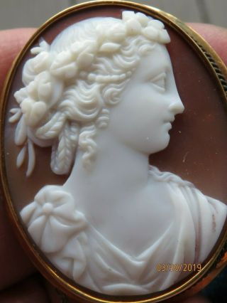 Museum Quality Antique 14k Yellow Gold Shell Cameo Brooch Pin