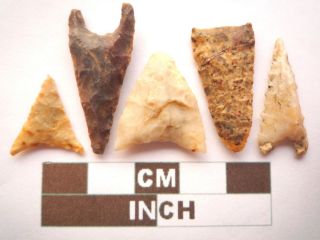Neolithic Arrowheads,  5 X Triangle Style Artifacts - 4000bc - (z055)
