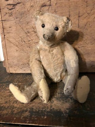 Loved Antique Mohair Steiff Teddy Bear With Button
