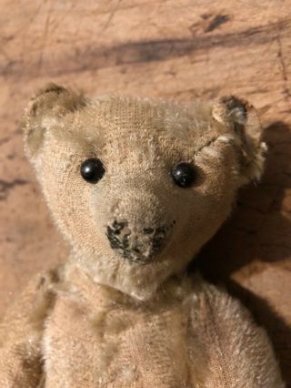 LOVED ANTIQUE MOHAIR STEIFF TEDDY BEAR WITH BUTTON 3