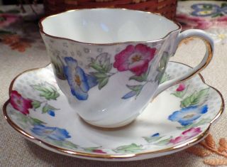 Vintage Salisbury Bone China Tea Cup And Saucer - Made In England