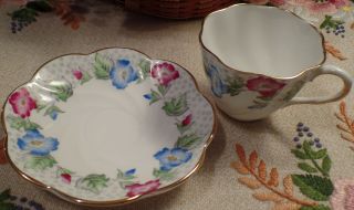 Vintage Salisbury Bone China Tea Cup and Saucer - Made in England 2
