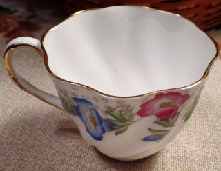 Vintage Salisbury Bone China Tea Cup and Saucer - Made in England 4