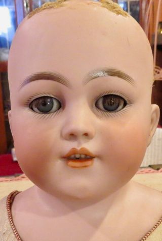 Antique 25 " German Bisque Simon Halbig 1250 Doll On Gorgeous Kid Body