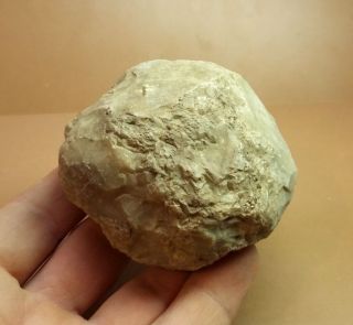 Perfect Tool Of Neolithic Age.  Neolithic Stone Age - Hammer Tool Flint 32