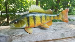 Deluxe 9.  5 " Perch Fish Decoy Carved By John Laska - Ice Spearing Lure 1/10