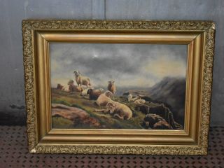 Antique Oil On Canvas Painting - Landscape W/sheep,  Mountains,  Water - Framed